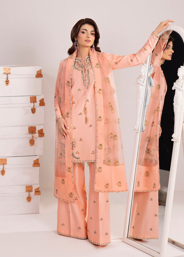 Woman wearing a peach embroidered outfit in front of a mirror.